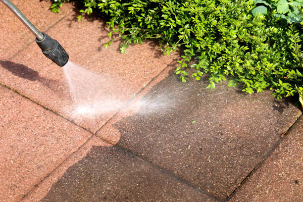  Hargill, TX Pressure Washing Pros